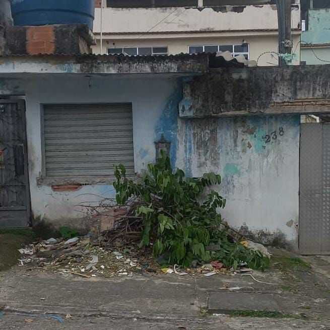 Imagem da publicação