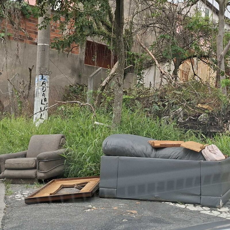 Imagem da publicação