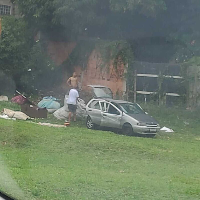 Imagem da publicação