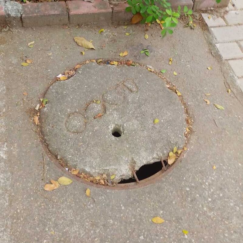 Imagem da publicação