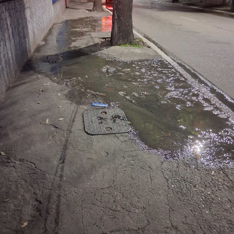 Imagem da publicação