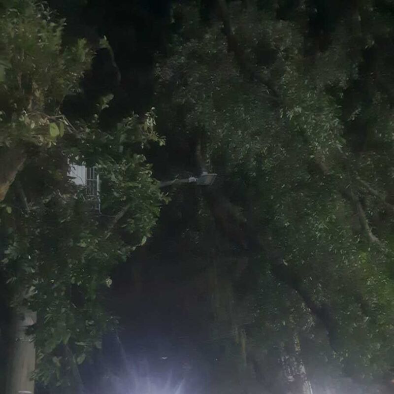 Imagem da publicação