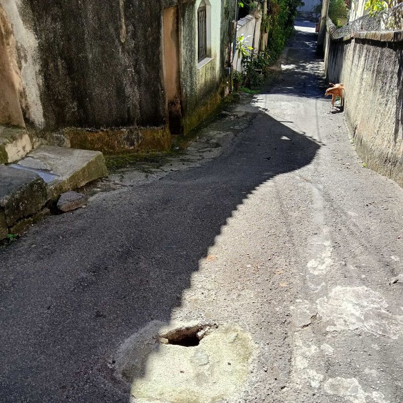 Imagem da publicação