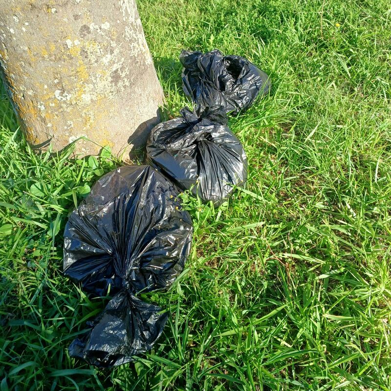 Imagem da publicação