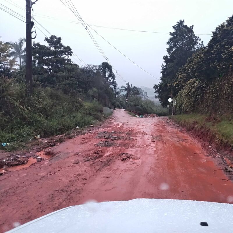 Imagem da publicação