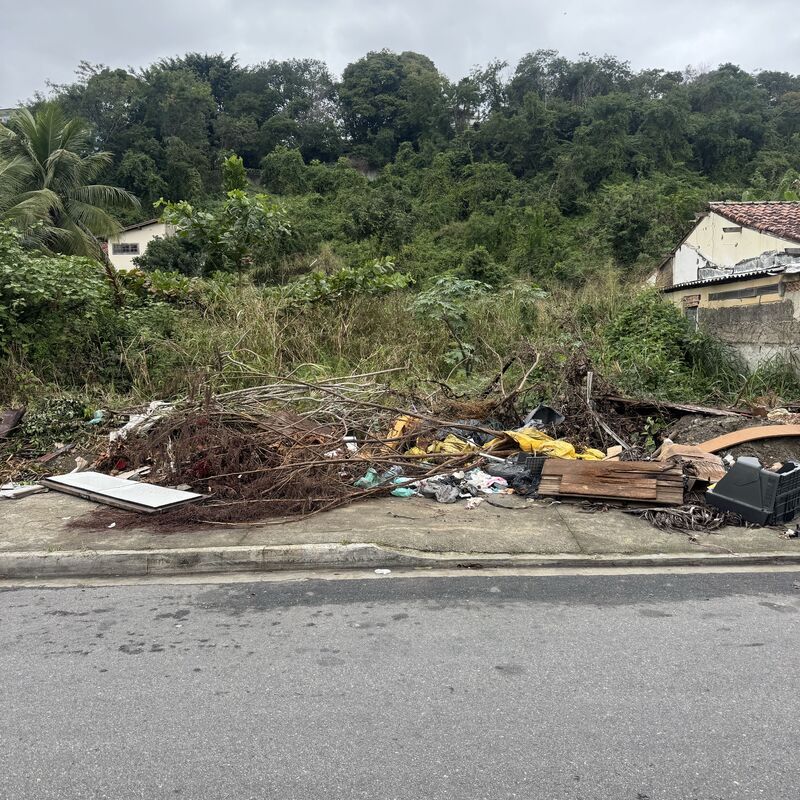 Imagem da publicação