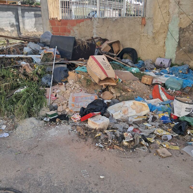 Imagem da publicação