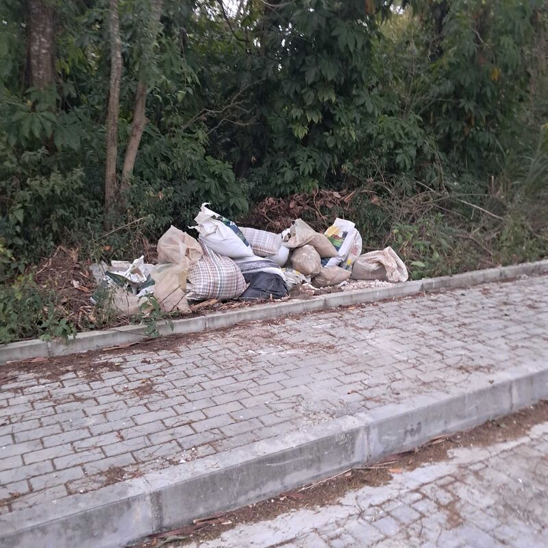 Imagem da publicação