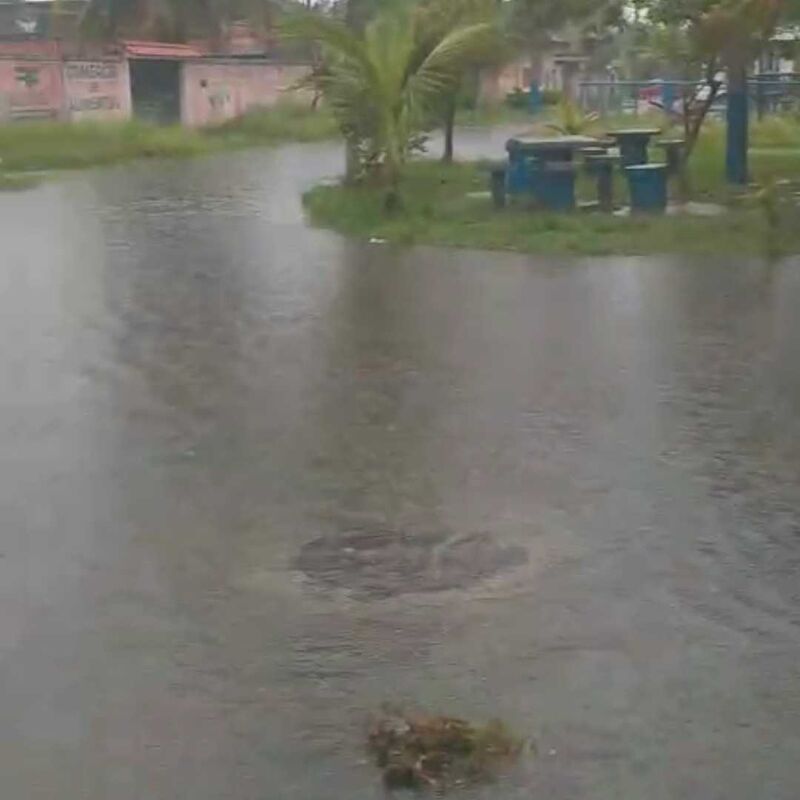 Imagem da publicação