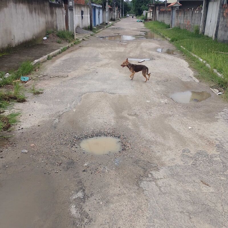 Imagem da publicação