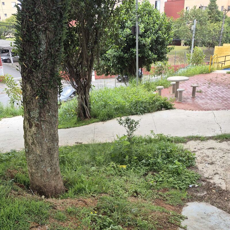 Imagem da publicação