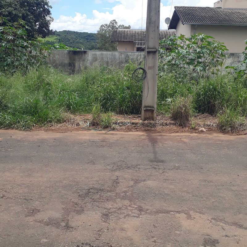 Imagem da publicação