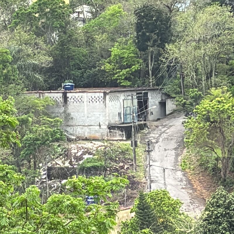 Imagem da publicação