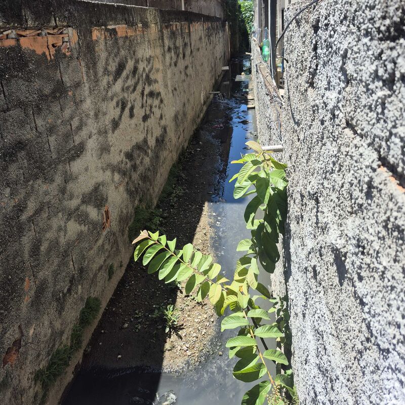 Imagem da publicação