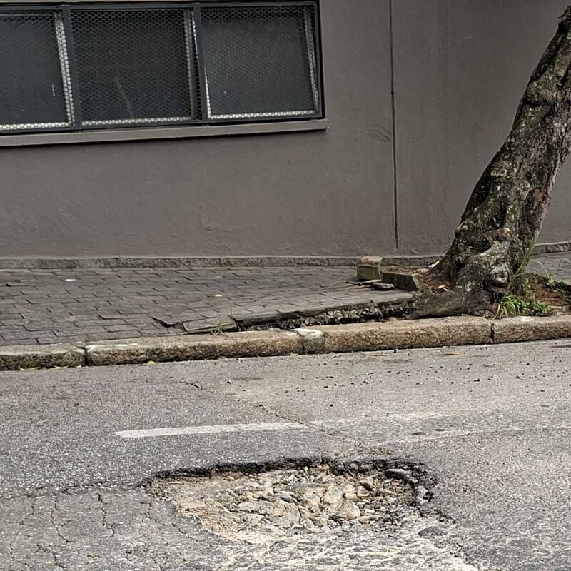 Imagem da publicação
