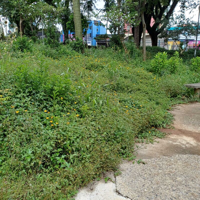 Imagem da publicação