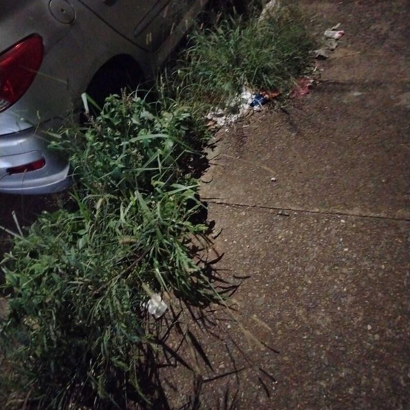 Imagem da publicação