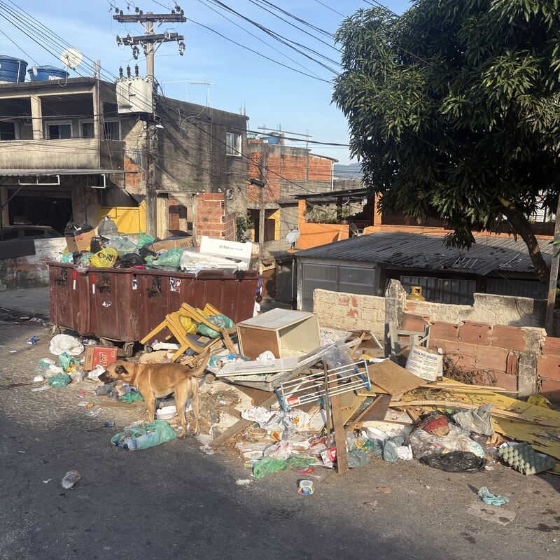Imagem da publicação