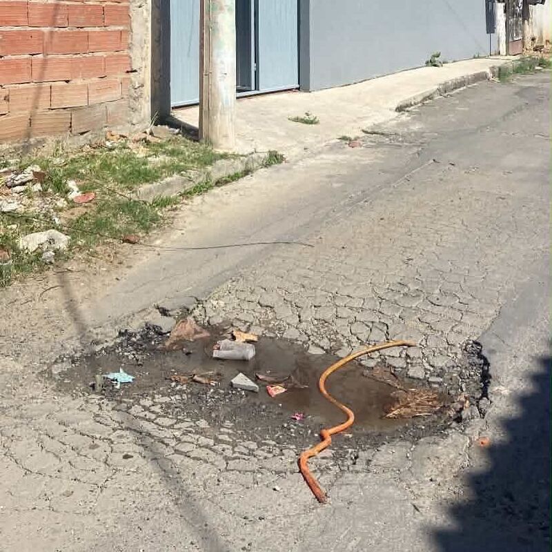 Imagem da publicação