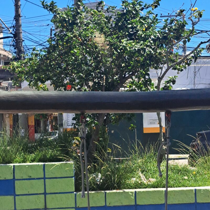 Imagem da publicação