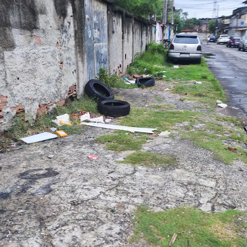 Imagem da publicação