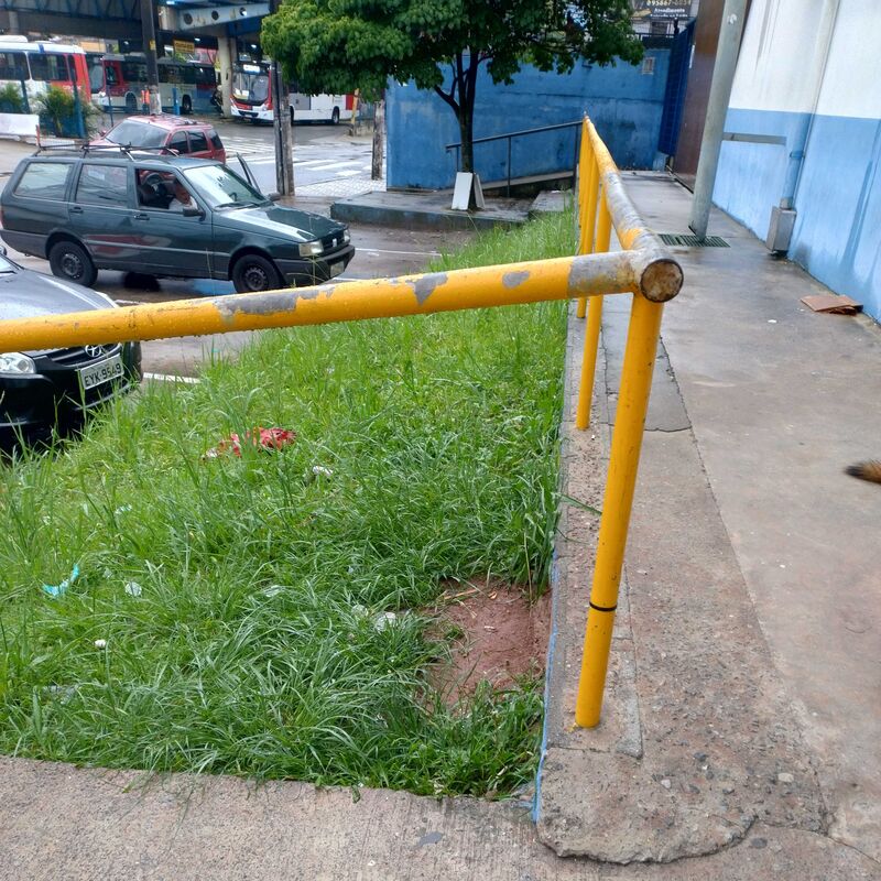 Imagem da publicação