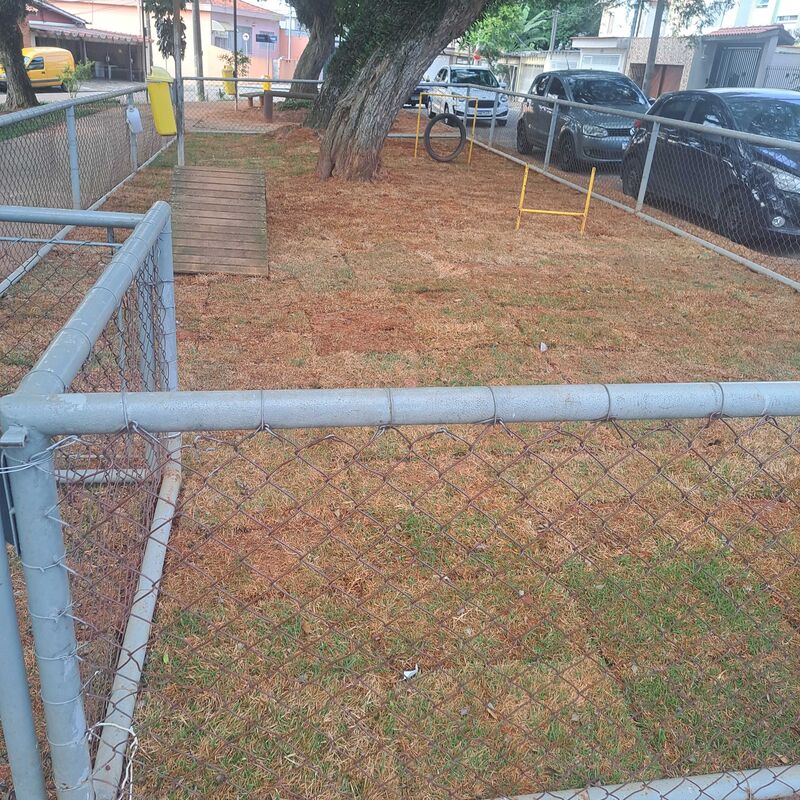 Imagem da publicação