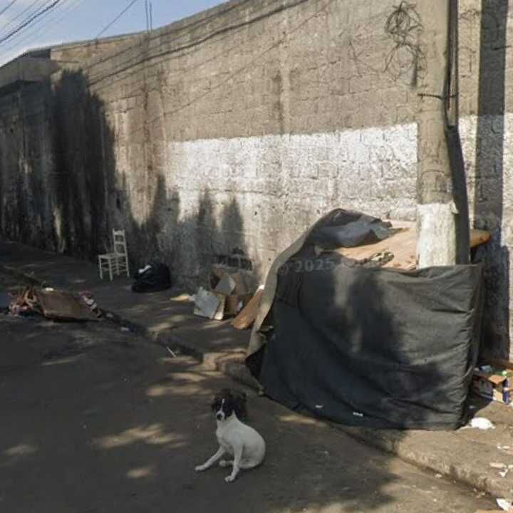 Imagem da publicação