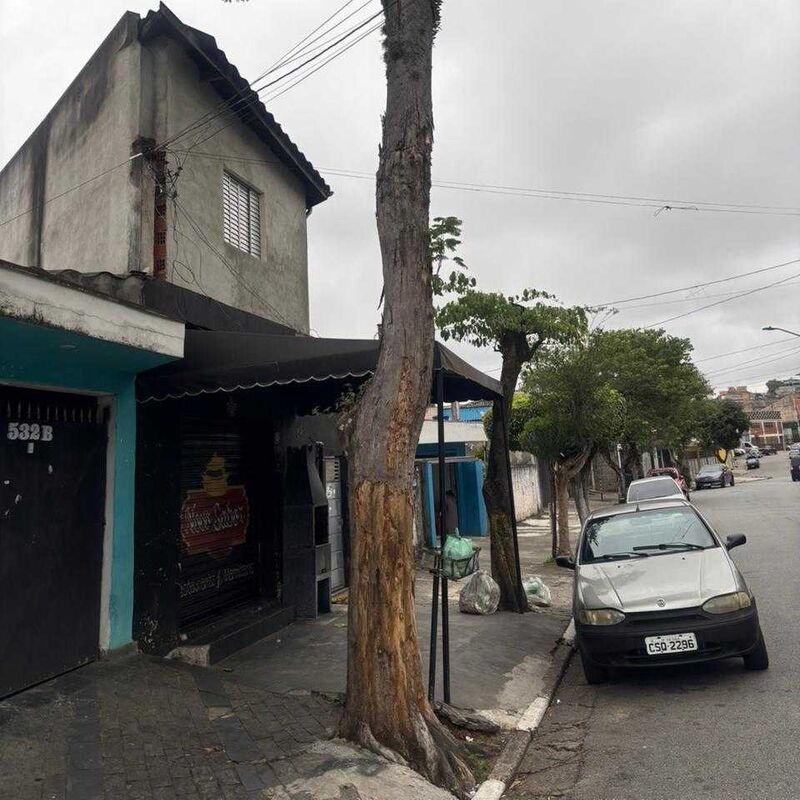 Imagem da publicação