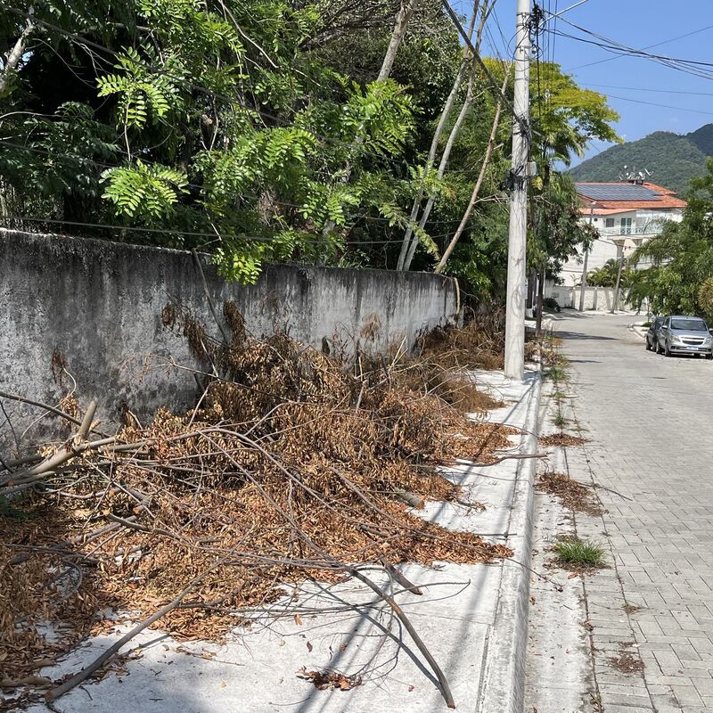 Imagem da publicação