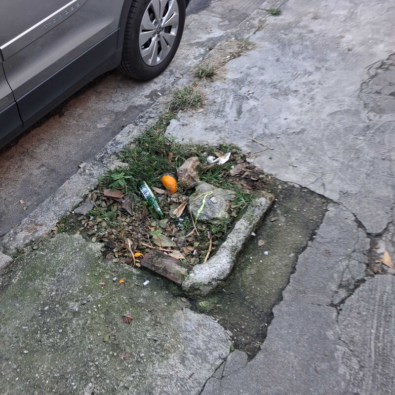 Imagem da publicação