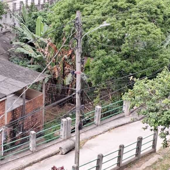 Imagem da publicação