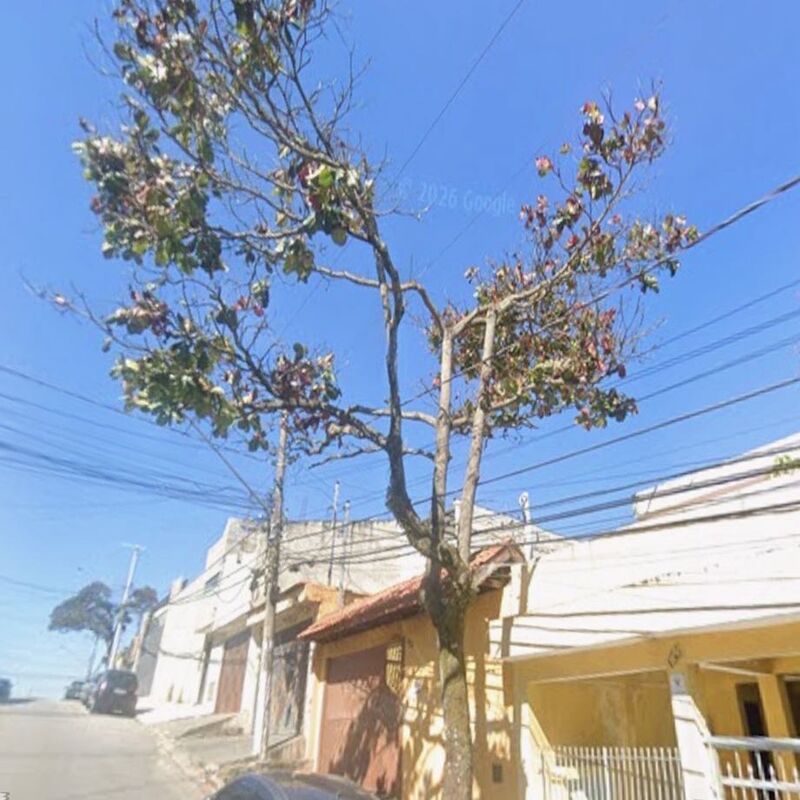 Imagem da publicação