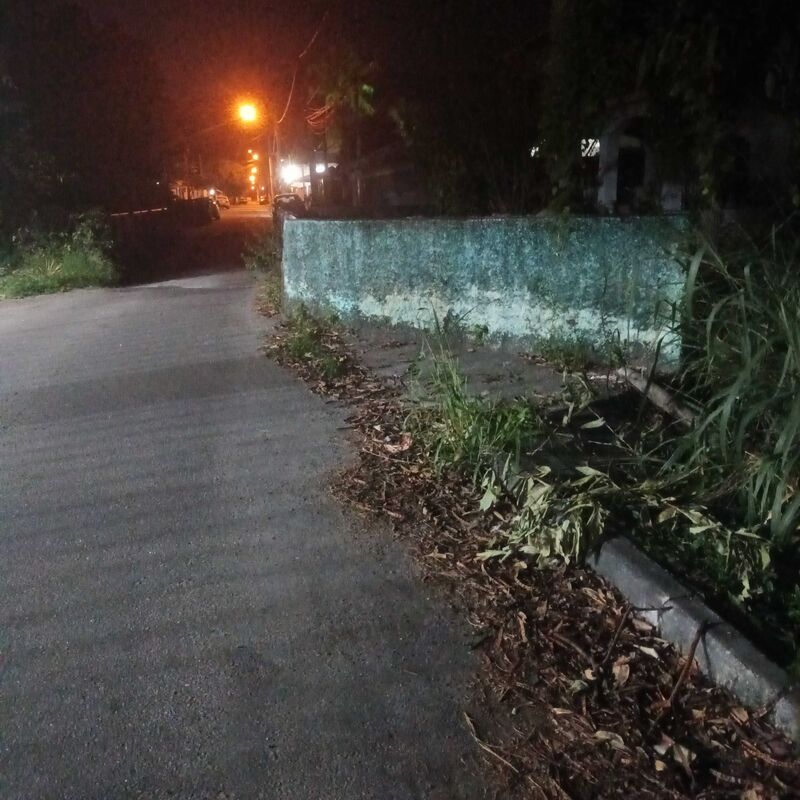 Imagem da publicação