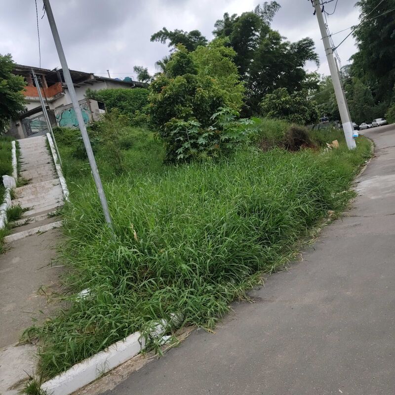 Imagem da publicação