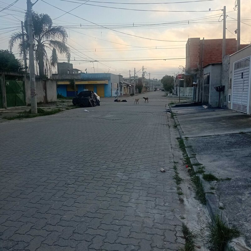 Imagem da publicação