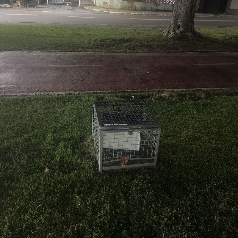 Imagem da publicação