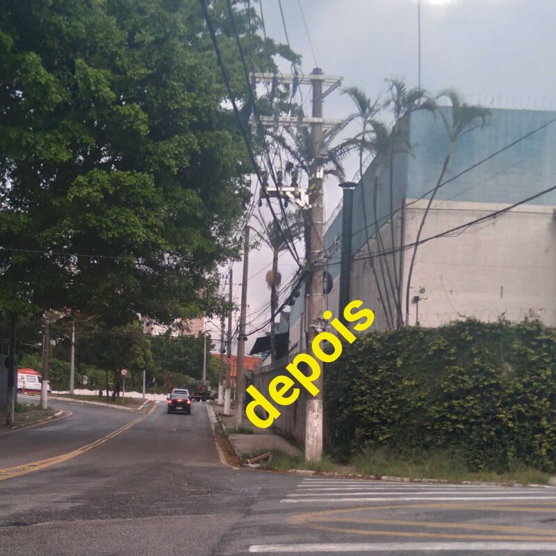 Imagem da publicação