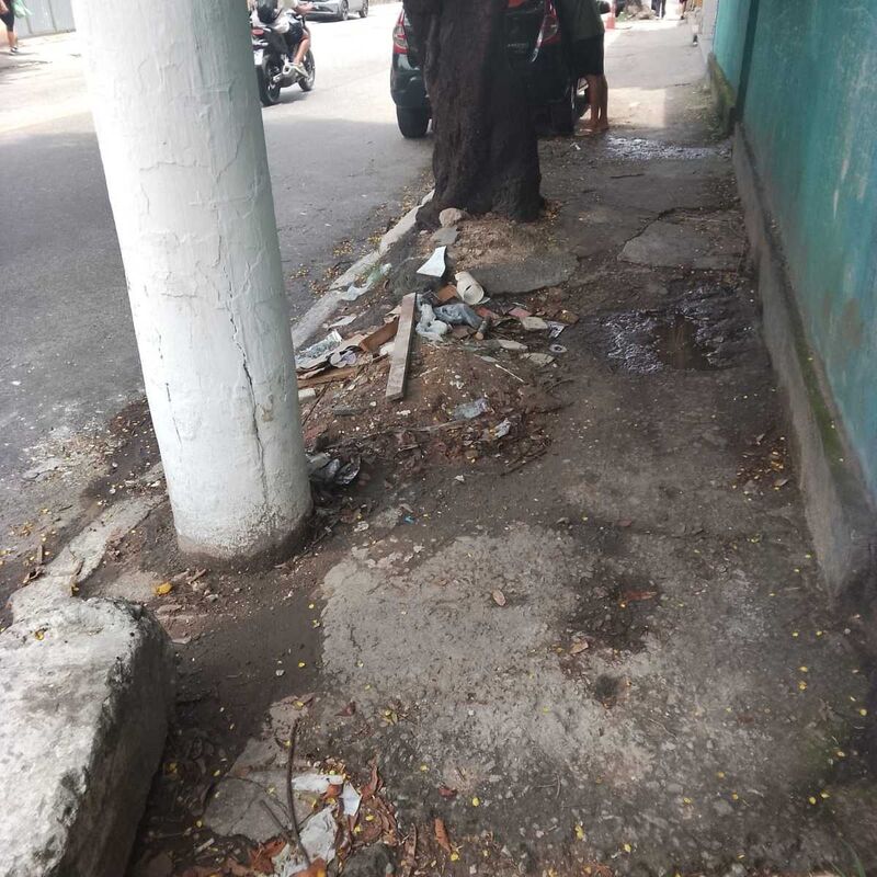 Imagem da publicação