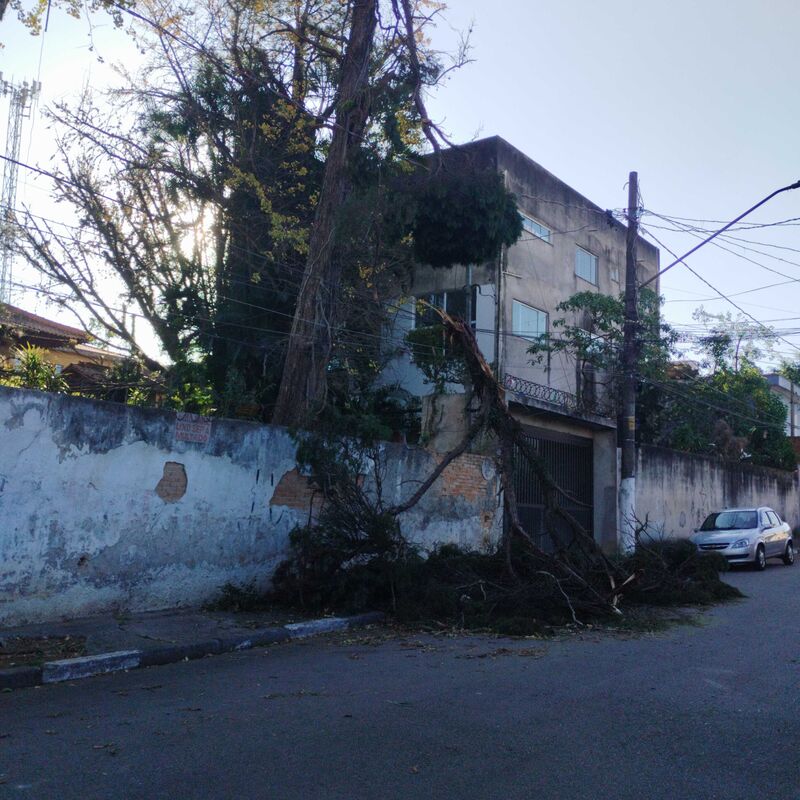 Imagem da publicação