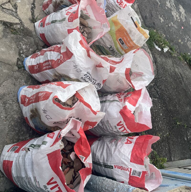 Imagem da publicação