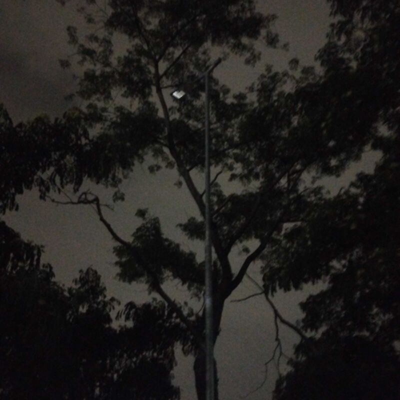 Imagem da publicação