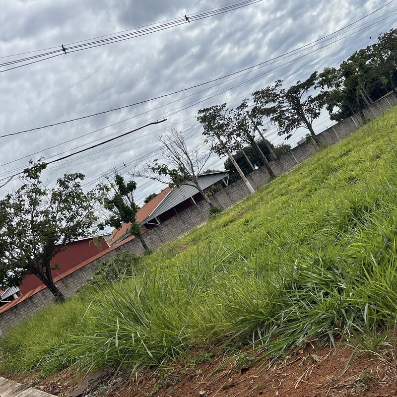 Imagem da publicação