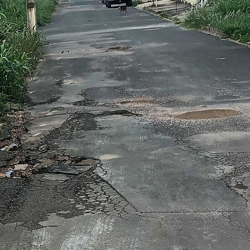 Imagem da publicação