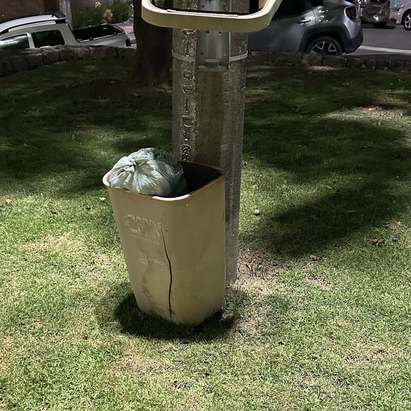 Imagem da publicação