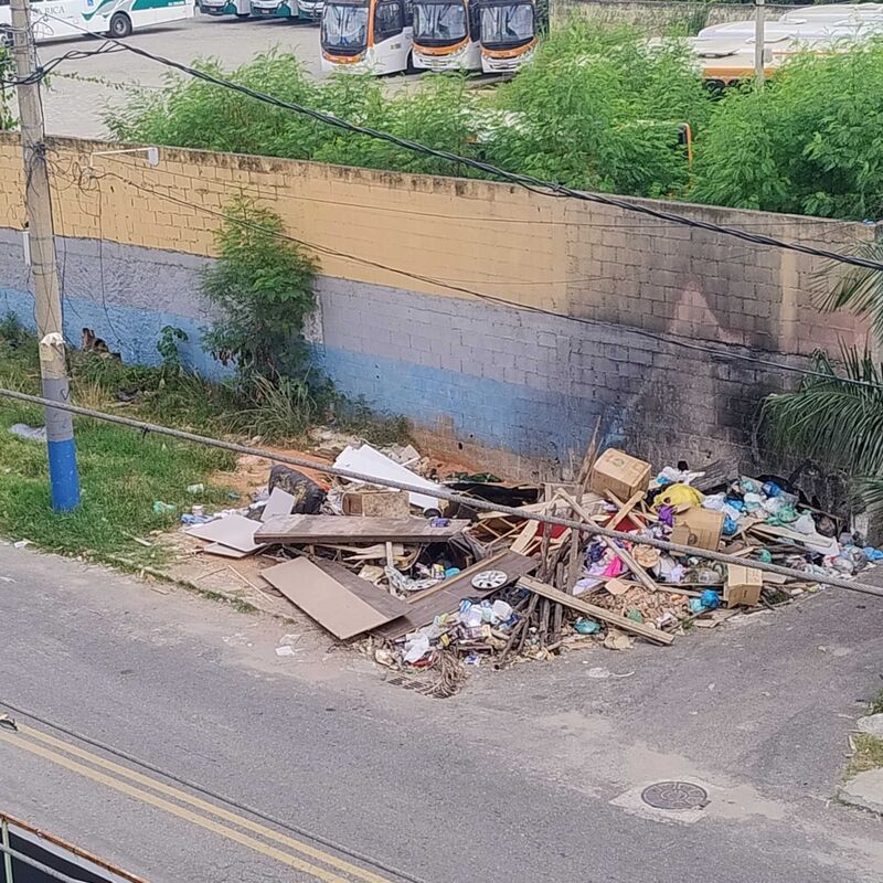 Imagem da publicação