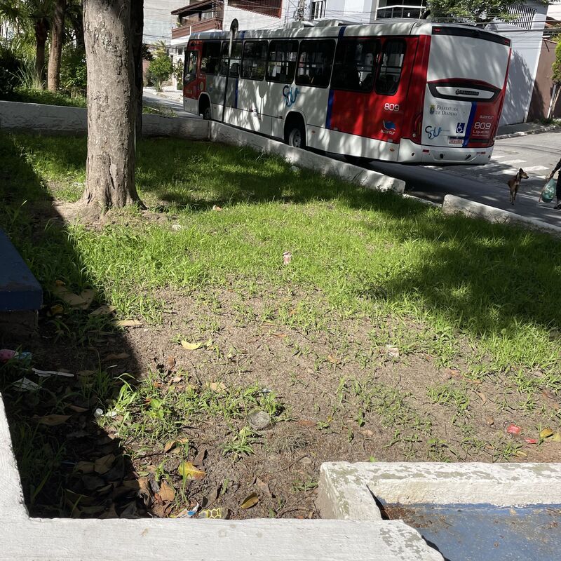 Imagem da publicação