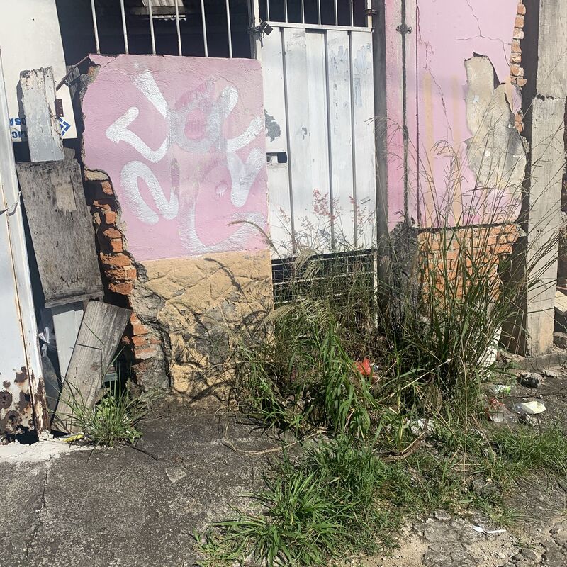Imagem da publicação