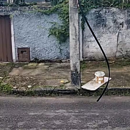 Imagem da publicação