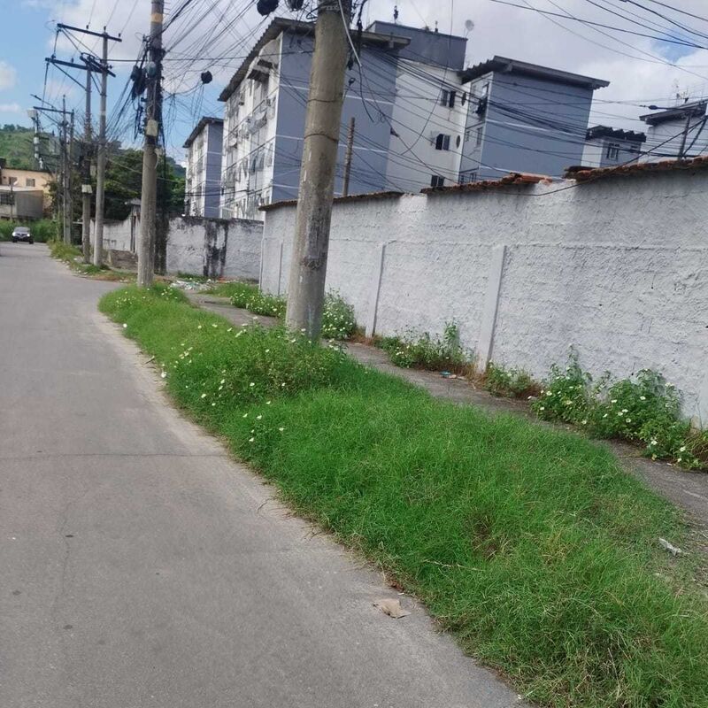 Imagem da publicação